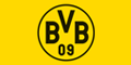 SHOP BVB DE